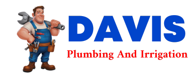 Trusted plumber in BUTTE DES MORTS